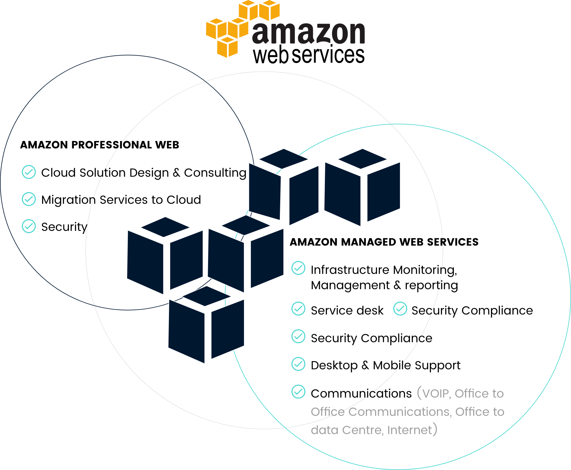 amazon infographic